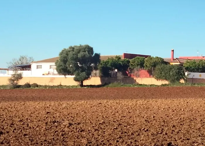 Studio Andalou , Campagne , Chevaux , Piscine Commune