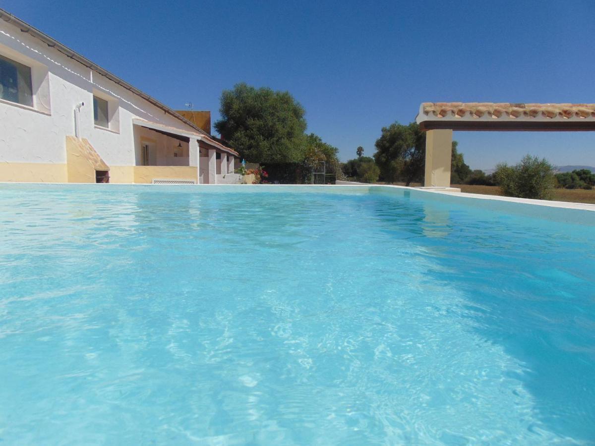 Andalou , Campagne , Chevaux , Piscine Commune Apartment