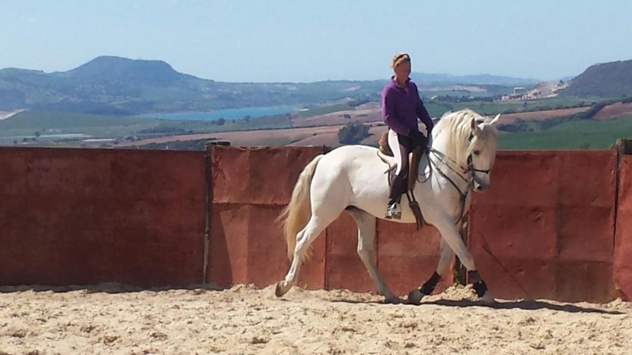Andalou , Campagne , Chevaux , Piscine Commune Arcos de la Frontera